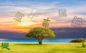 点选/文字 预览
